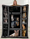 Cat Mirror Reflection Tiger Lion Puma Black Cat Fleece/Sherpa Blanket - Dreameris