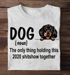 Dog Dachshund Definition Gift Standard/Premium T-Shirt - Dreameris