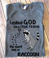 I Asked God For A True Friend So He Sent Me A Raccoon Standard/Premium T-Shirt - Dreameris