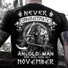Never Underestimate An Old Man Who Was Born In November Viking Standard/Premium T-Shirt Hoodie - Dreameris