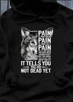 Pain Is Your Friend Is Your Ally Tells You When You Have Been Wounded Badly But You Know What The Best Thing About Pain Is Standard Hoodie - Dreameris