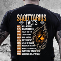 Zodiac December Sagittarius Fact Men Birthday Gift Standard/Premium T-Shirt Hoodie - Dreameris