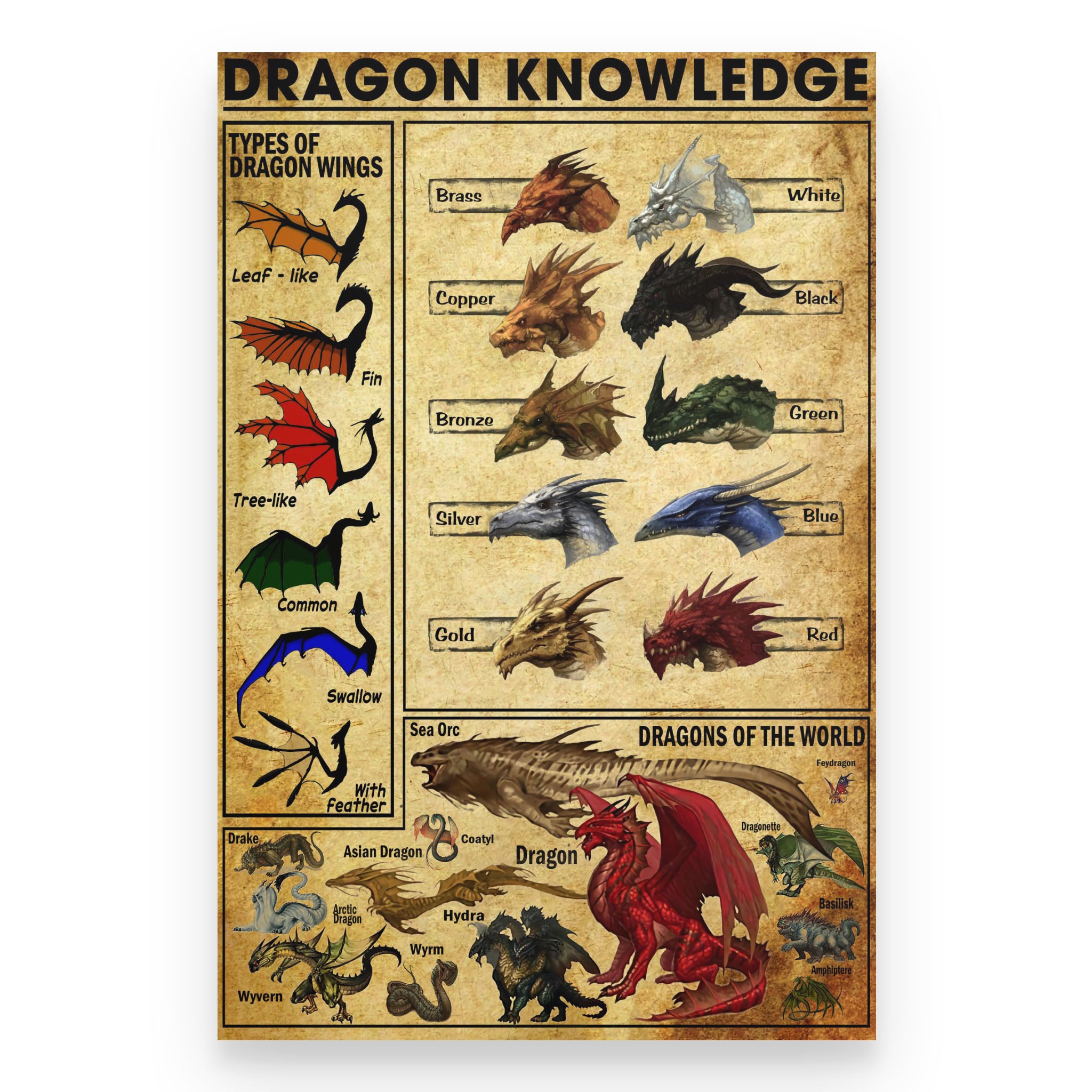 fictional dragon size chart